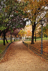  Park in autumn