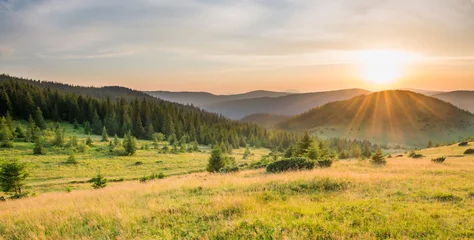 Tafelkleed Panorama of sunset in the mountains with forest, green grass and big shining sun on dramatic sky © Pavlo Vakhrushev