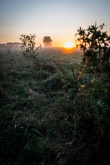 Morgens bei Sonnenaufgang