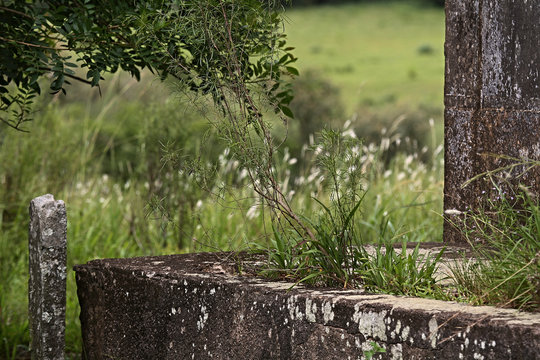 casa velha tapera no campo