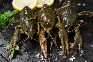 Live crayfish on a cutting Board