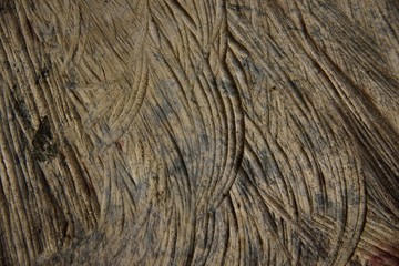mold brown wood texture and background
