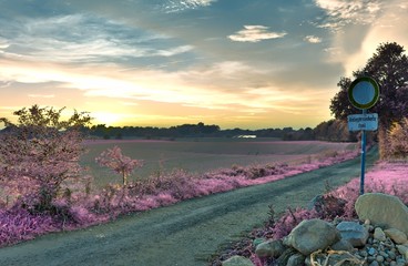 Beautiful fantasy infrared landscape with lots of purpel elements and a deep blue sky
