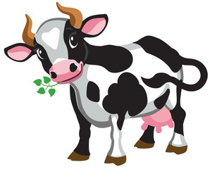 cartoon black cow . Isolated vector illustration 