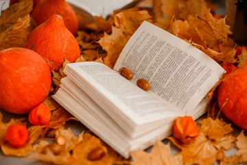 Naklejka na ściany i meble open book with leaves