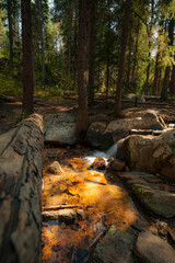 Tiny waterfall