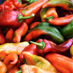 some colorful peppers
