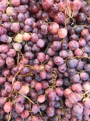 red grapes, black grapes. A fresh fruits available on the market good for disease prevention and rich of nutrition. This fruit also a starting materials for wine in France, Europe.