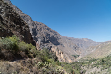 Fototapeta na wymiar Colca Canyon Trekking Tour