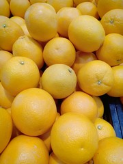 Golden orange at fruit shop vol.2