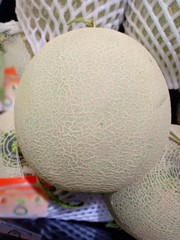 Melon show at good food shop