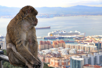 Gibraltar, UK
