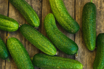 Fresh cucumbers on old wooden table