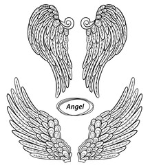Angel wings set. Abstract vector illustration isolated on white background