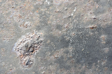 Old iron peace, rusty. Backdrop