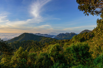 Naklejka premium Morning sunrise and mist cover at Doi Angkhang.