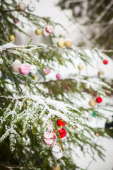 Christmas tree branches in the snow