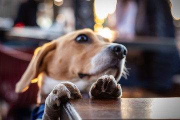 Snack please