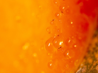 Drops of juice on pumpkin pulp as abstract background
