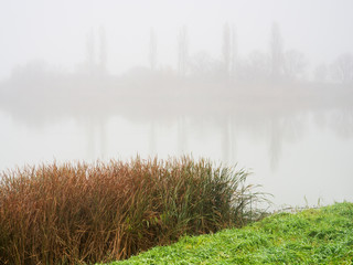 Mist on the lake
