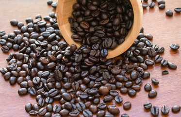 coffee beans in a white cup