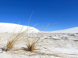 White sands in New Mexico, America