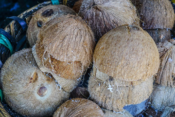 Selling coconut fruits at rural market