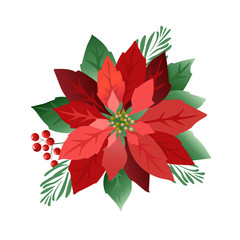 Christmas poinsettia flowers, red leaves. Cover, invitation, banner, greeting card. Vector illustration. - obrazy, fototapety, plakaty