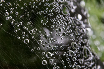 water, abstract, green, bubbles, bubble, drop, texture, macro, blue, rain, pattern, liquid, air,...