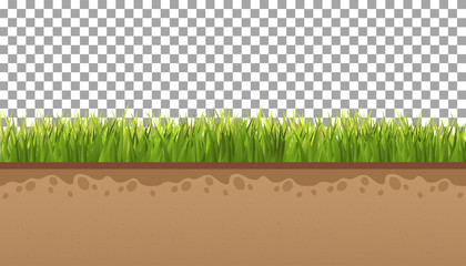 Ground  with green grass On a transparent background. Vector illustrations