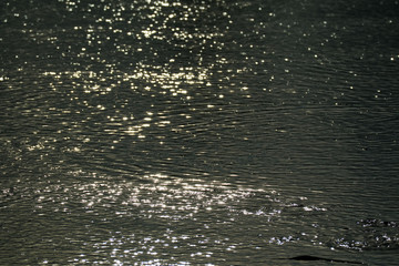 Water reflections