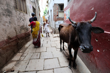 Local Street in Varanasi, India