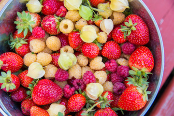 organic berries background