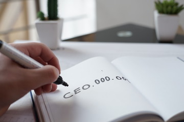 CEO.OOO.OOO