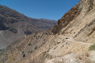 Fototapeta na wymiar Colca Canyon Trekking Tour