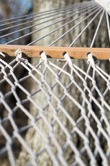 hammock net