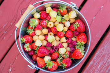 organic berries background
