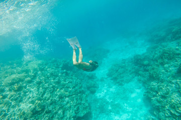 Fototapeta na wymiar diver in the sea