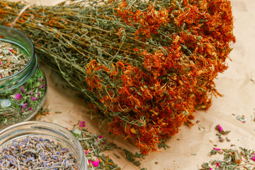 bunch of dried flowers, Hypericum, phytotherapy herbs tutsan and glass jars with herbs lavender and phytotherapy tea mixo n wrinkled paper