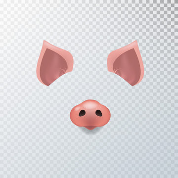Vector realistic animal pig face video chat, photo effects, selfie filters set.