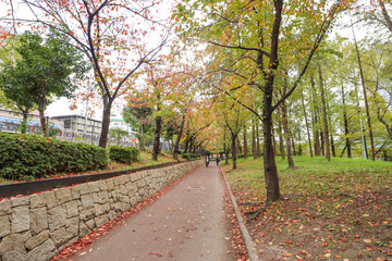 autumn in the park