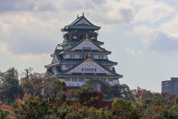Fototapeta na wymiar castel in japan