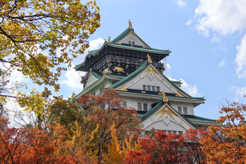 Fototapeta premium castle in Japan