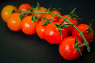 cherry tomatoes with water drops on a dark skin background