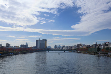 Fototapeta na wymiar city of Tokyo