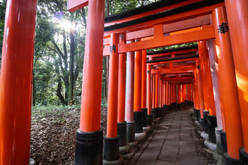 Fototapeta na wymiar Fushimi inari shrine