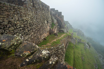 terraced fields of Machu Picchu