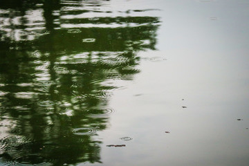 quiet pond