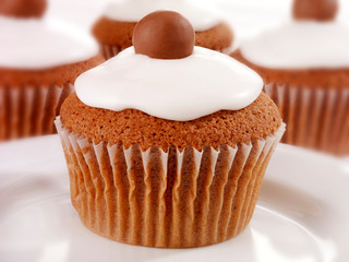 WHITE ICED CHOCOLATE CUPCAKES