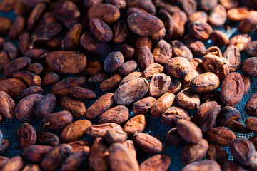 Cocoa beans and cocoa pod on a wooden surface.